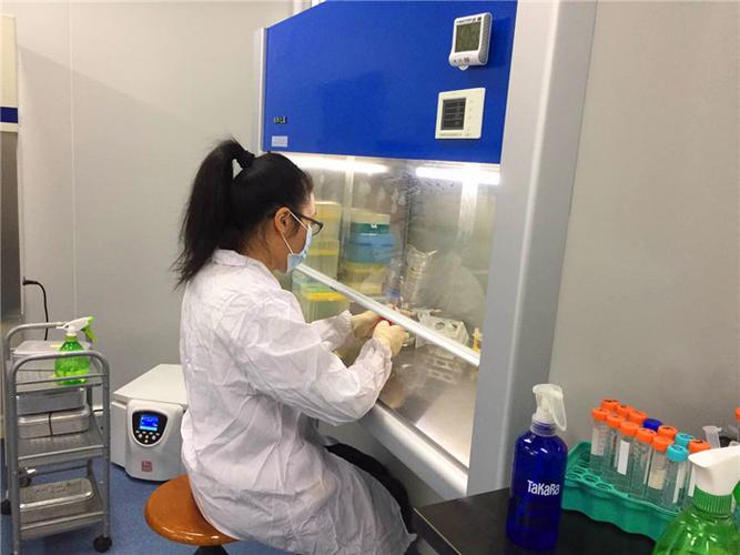 广州金赛医药科技是一家集生物美容,养生保健产品的研发,生产